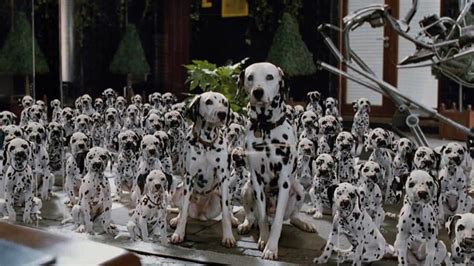 101 dalmatians 1996 with healthbars.